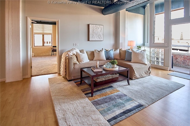 living room with light wood-type flooring and a healthy amount of sunlight