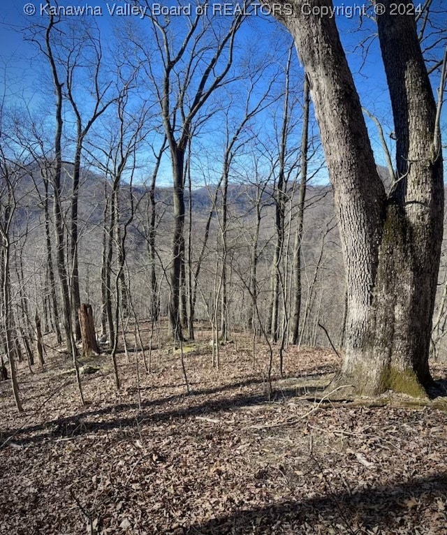 1136 Pond Fork Rd, Madison WV, 25130 land for sale