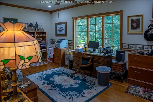 office space with ornamental molding and hardwood / wood-style floors