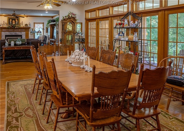 dining space featuring ceiling fan and hardwood / wood-style flooring