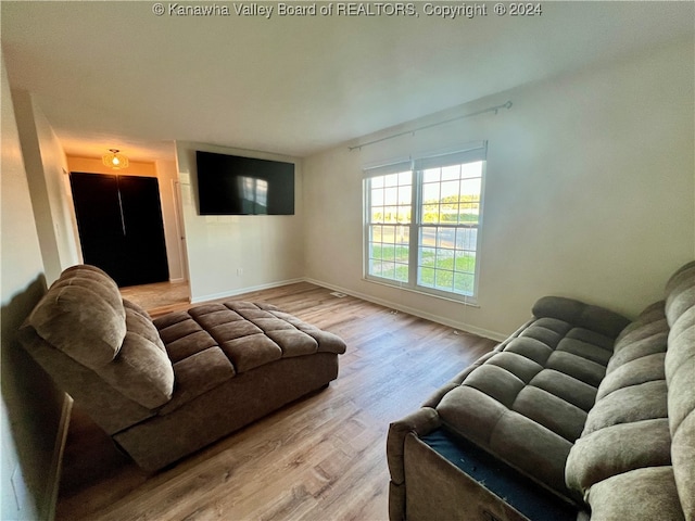 living room featuring light hardwood / wood-style flooring