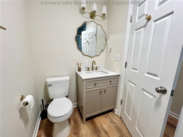 bathroom with toilet, vanity, and wood-type flooring