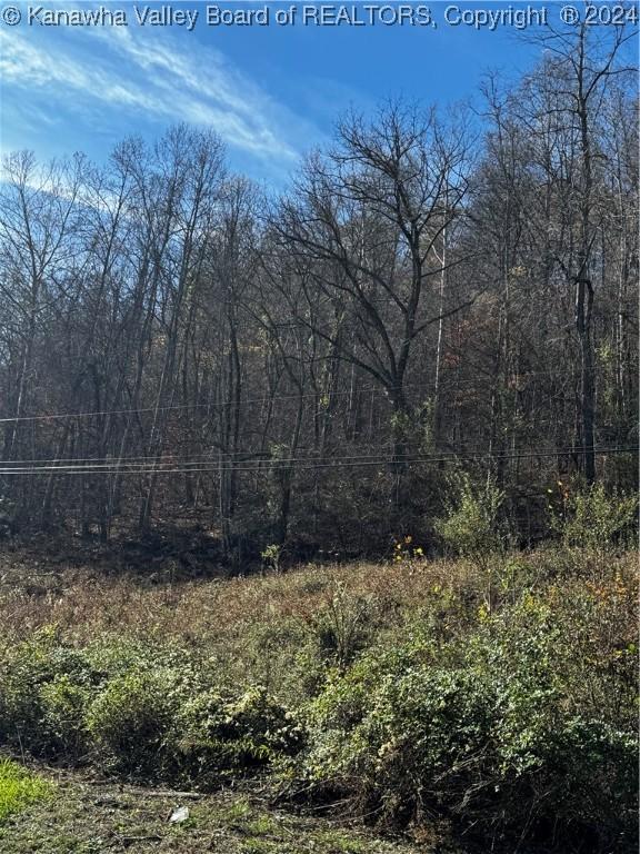 0 Mcclellan Hwy, Harts, WV 25524
