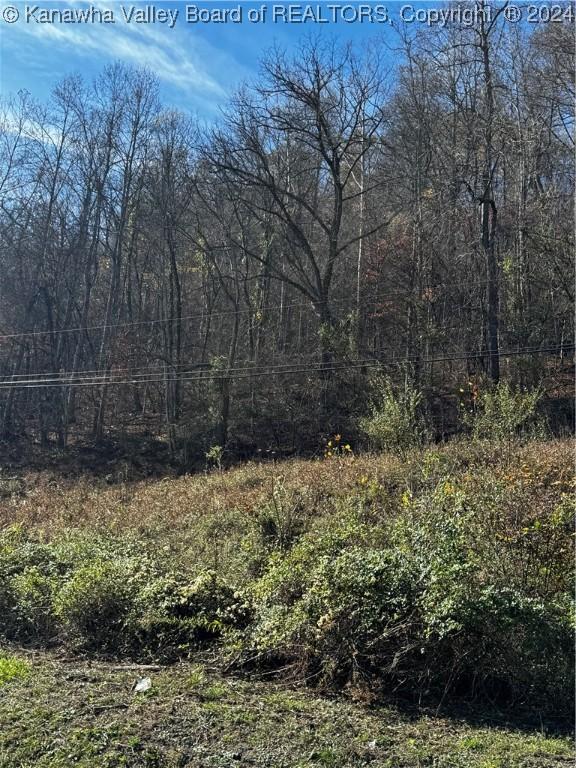 0 Mcclellan Hwy, Harts, WV 25524