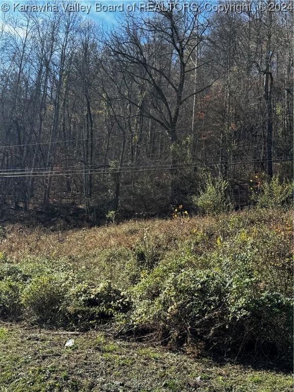 0 Mcclellan Hwy, Harts, WV 25524