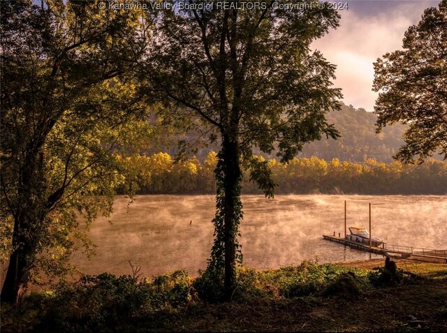 property view of water featuring a view of trees