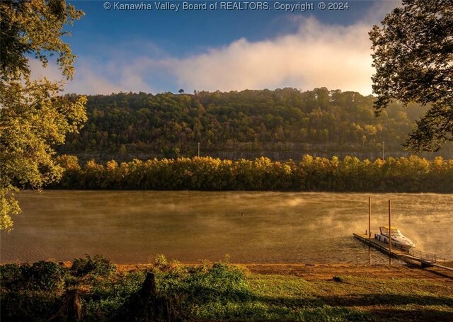 property view of water with a wooded view
