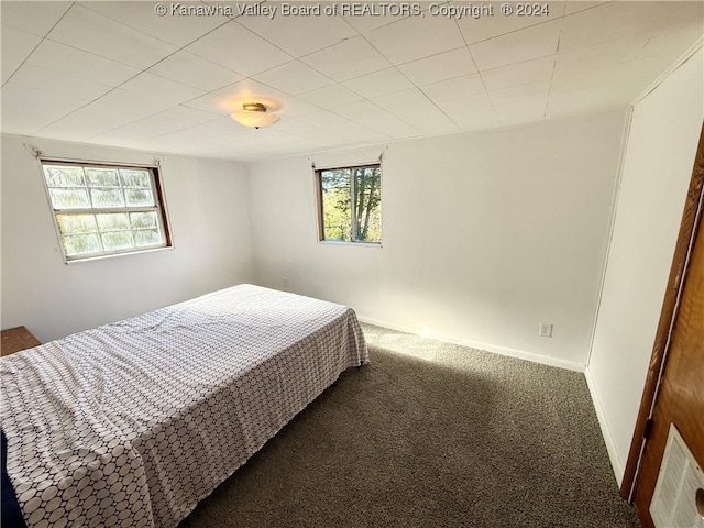 carpeted bedroom featuring multiple windows