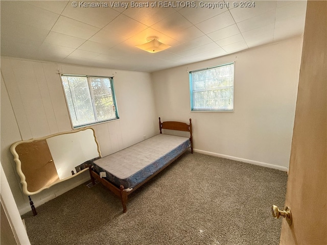 unfurnished bedroom featuring carpet and multiple windows