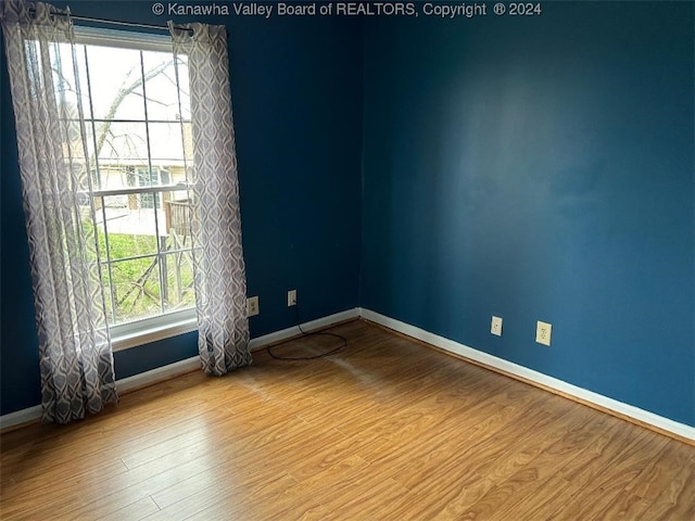 unfurnished room featuring wood-type flooring and plenty of natural light