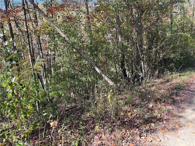 Listing photo 2 for LTS Plantation Rd, Sissonville WV 25312