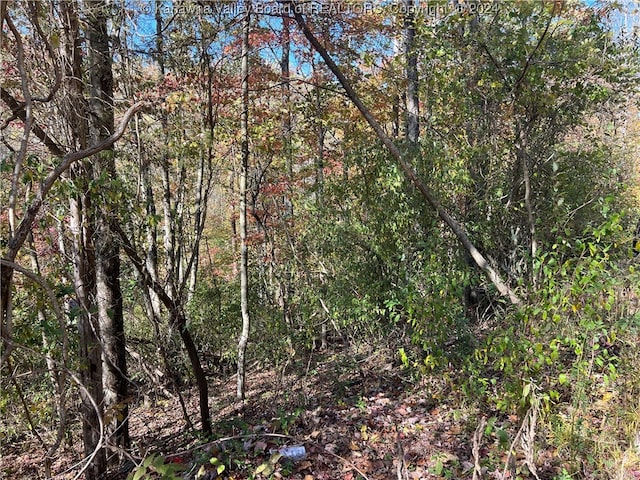 Listing photo 3 for LTS Plantation Rd, Sissonville WV 25312