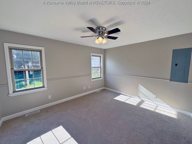 spare room featuring carpet, electric panel, and a wealth of natural light