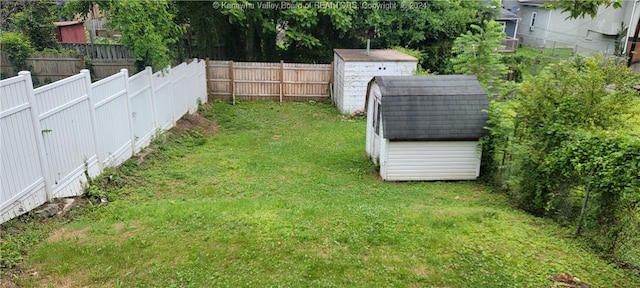 view of yard with a storage unit