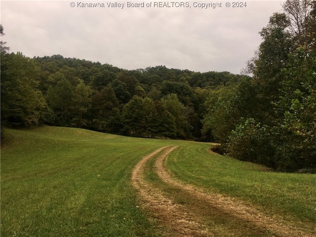 view of community featuring a lawn