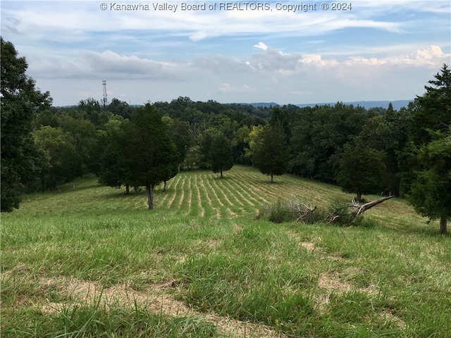 view of landscape with a rural view