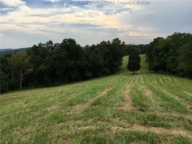 view of yard with a rural view