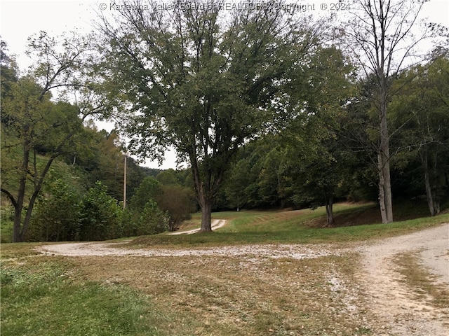 view of road