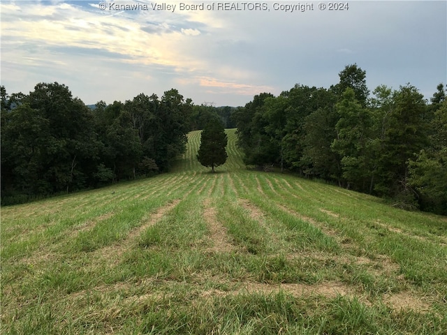 view of local wilderness featuring a rural view