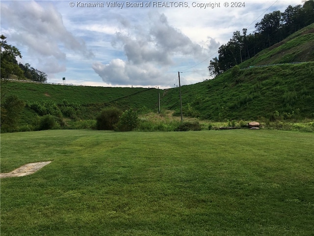 view of yard with a rural view