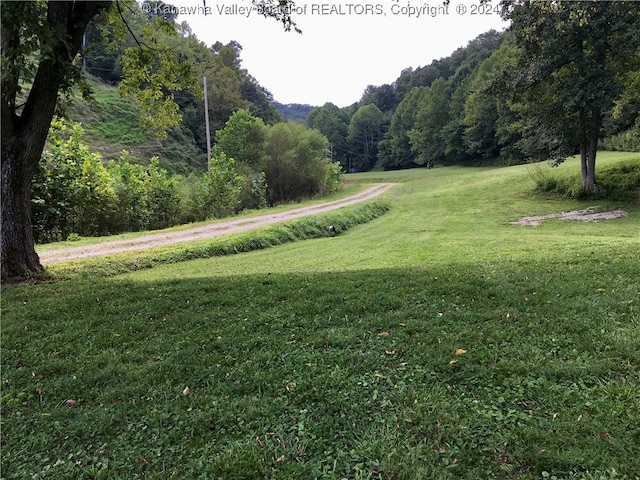 view of property's community with a lawn