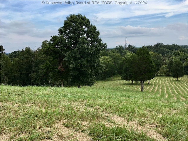 view of nature with a rural view