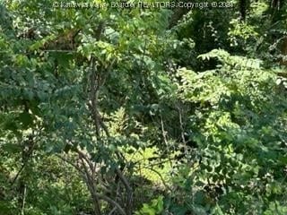 Listing photo 3 for 12.5 Hamlet Way, Charleston WV 25314