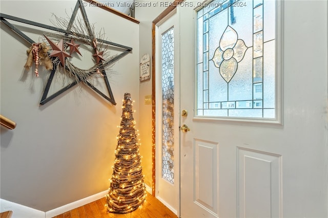 entryway with hardwood / wood-style flooring