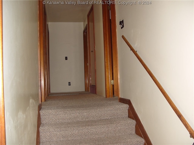 stairs with carpet flooring