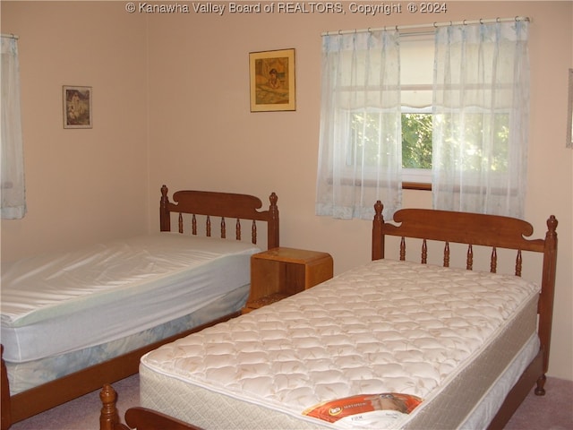 bedroom with carpet floors