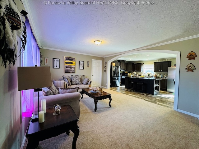 carpeted living room featuring ornamental molding and a textured ceiling