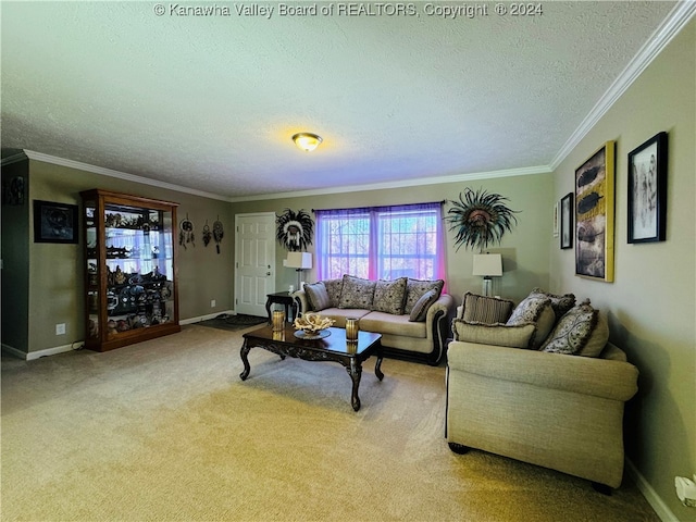 living room with light carpet, ornamental molding, and a textured ceiling