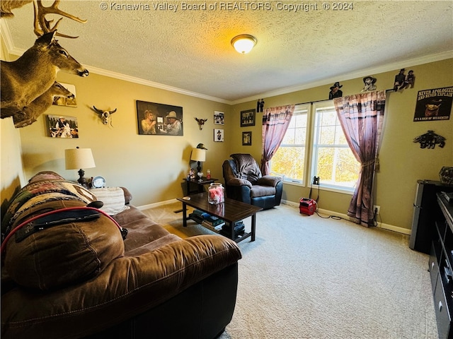 carpeted living room with crown molding and a textured ceiling