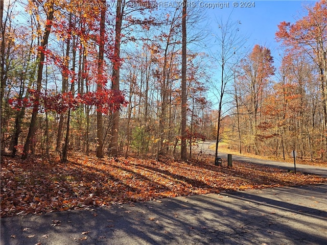 175 Rothfield Cir, Daniels, WV 25918