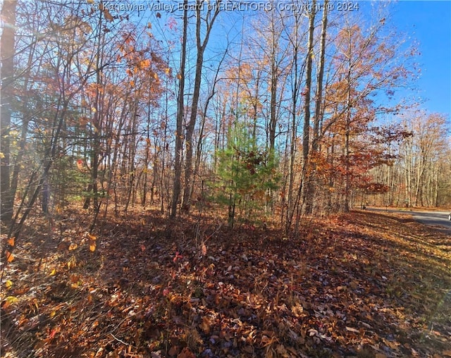 175 Rothfield Cir, Daniels, WV 25918