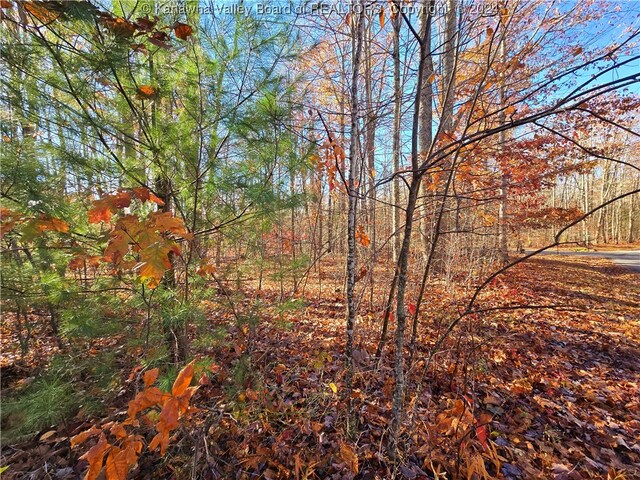 175 Rothfield Cir, Daniels, WV 25918
