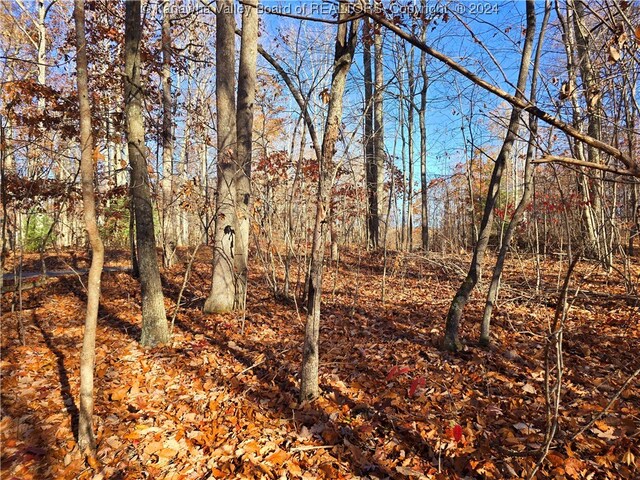 175 Rothfield Cir, Daniels, WV 25918