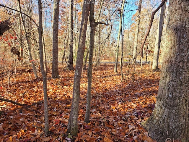 175 Rothfield Cir, Daniels, WV 25918