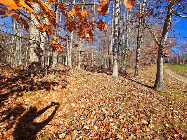 175 Rothfield Cir, Daniels, WV 25918