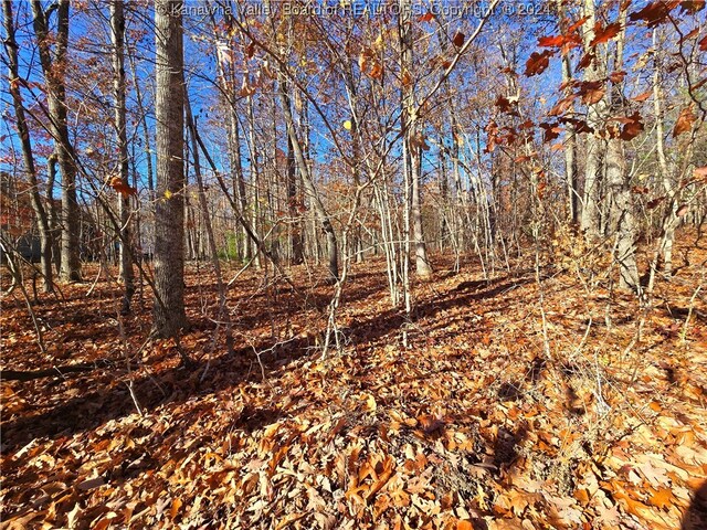 175 Rothfield Cir, Daniels, WV 25918