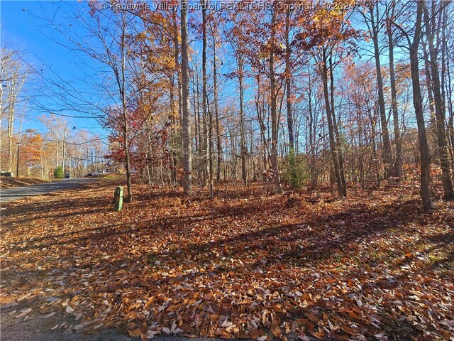 175 Rothfield Cir, Daniels, WV 25918