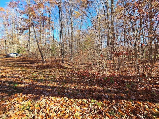 175 Rothfield Cir, Daniels, WV 25918