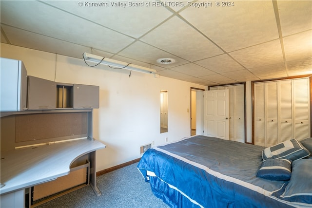 bedroom featuring a paneled ceiling, carpet flooring, and two closets