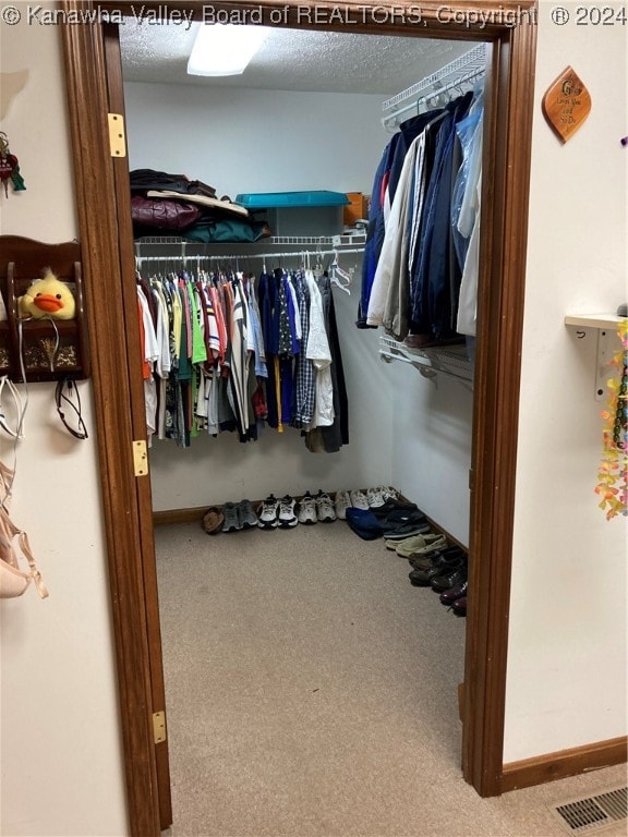 walk in closet with carpet flooring