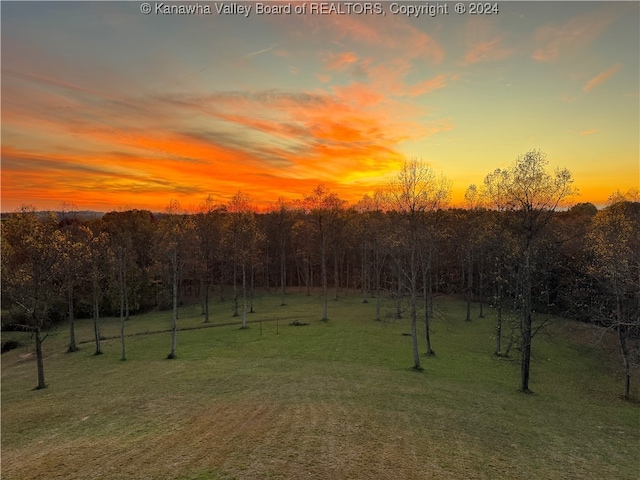 view of yard at dusk