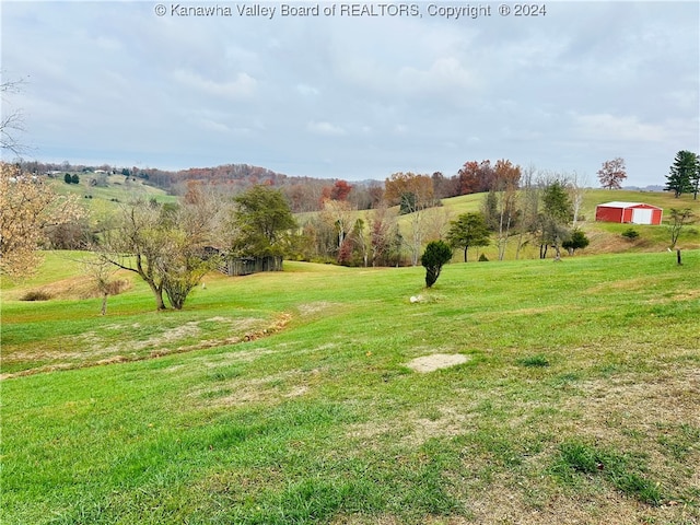 view of yard with a rural view