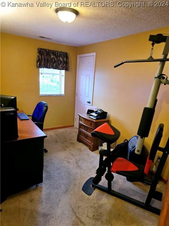 carpeted office space with a textured ceiling