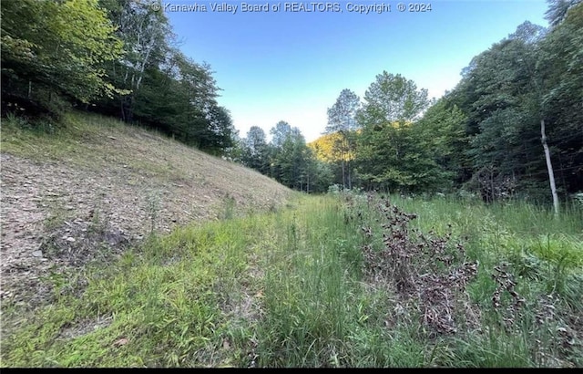 TBD Arden Ln, Danville WV, 25053 land for sale