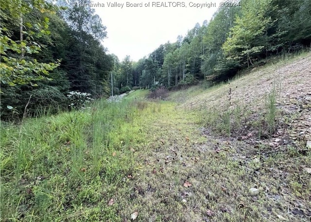 Listing photo 3 for TBD Arden Ln, Danville WV 25053