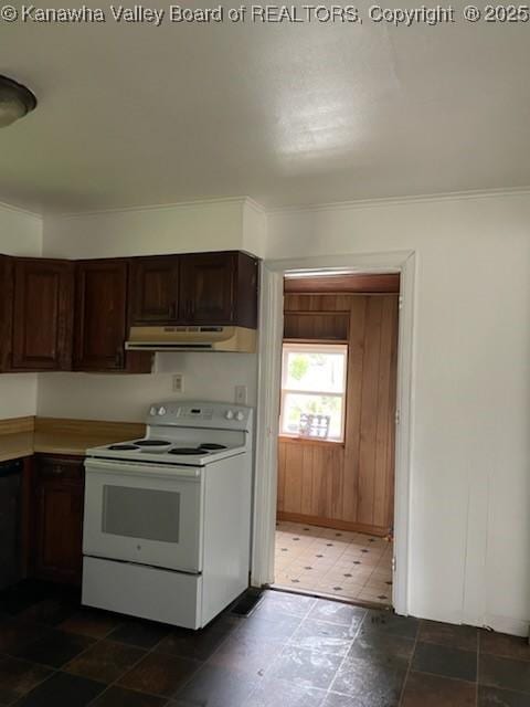 kitchen with electric stove and wood walls